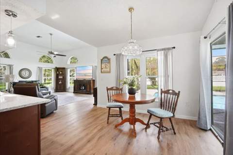 483 Lincoln Avenue, Masaryktown FL - photo 10 of 41