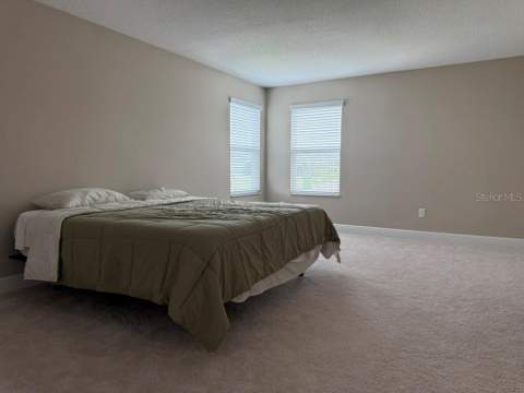7749 Bronze Oak Drive, Wesley Chapel FL - photo 18 of 38