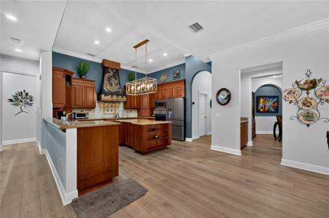 21732 Shamu Drive, Land O Lakes FL - photo 15 of 99