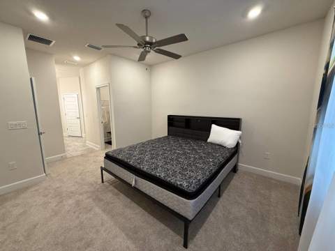 3828 Sagefield Drive, Harmony FL - photo 19 of 28