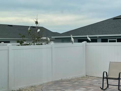 2962 Harlow Avenue, St Cloud FL - photo 10 of 33