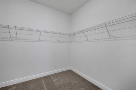 17374 Crisp Apple Lane, Land O Lakes FL - photo 15 of 42