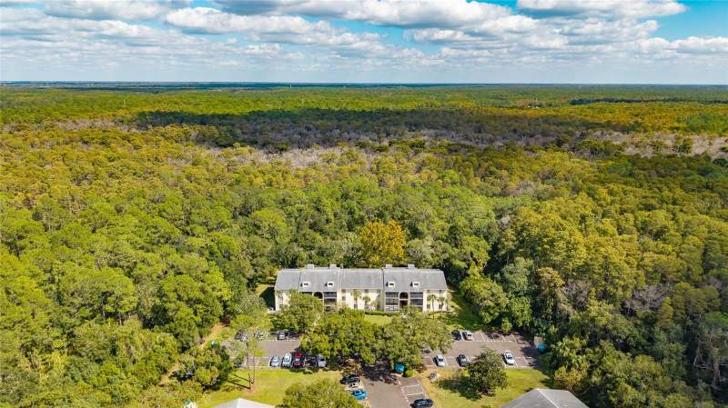 2 bedroom Condominium at 3232 Lake Pine Way #F2, Pine Ridge At Lake Tarpon Village, Tarpon Springs — photo 4