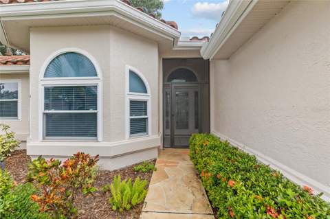 4897 Harbor Woods Drive, Palm Harbor FL - photo 6 of 6