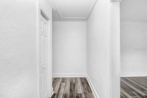 12113 Midlake Drive, Tampa FL - photo 13 of 43