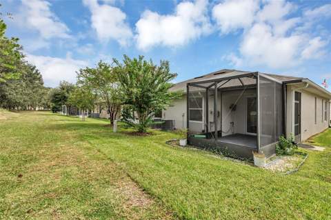 27033 White Plains Way, Leesburg FL - photo 19 of 46