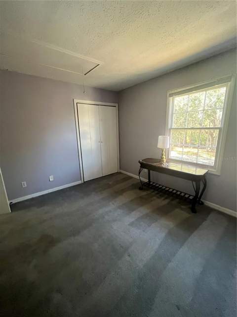 13709 Juniper Blossom Drive #0, Tampa FL - photo 20 of 30