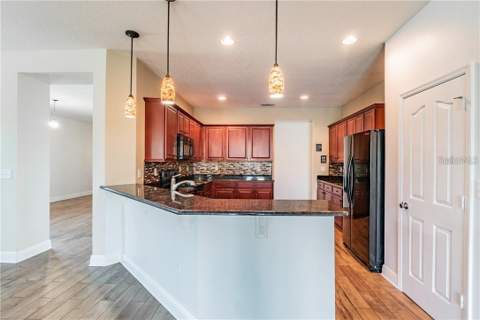 1501 Angler Avenue, Kissimmee FL - photo 12 of 46