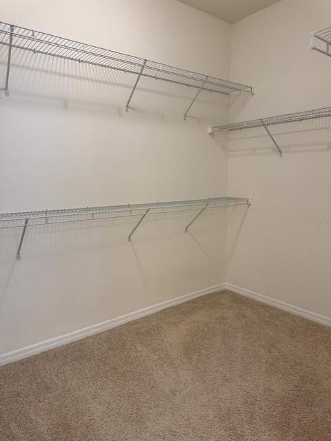 16613 Point Rock Drive, Winter Garden FL - photo 6 of 13