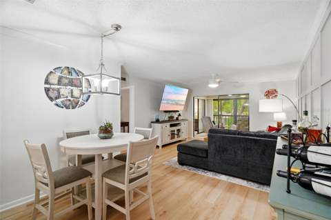 2700 Nebraska Avenue #2-203, Palm Harbor FL - photo 6 of 6