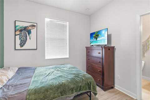 4355 Summer Breeze Way, Kissimmee FL - photo 24 of 44