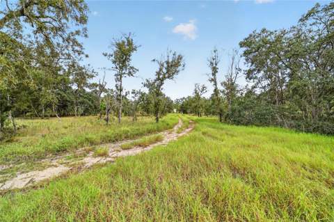 13291 SE 101st Place, Dunnellon FL - photo 17 of 71