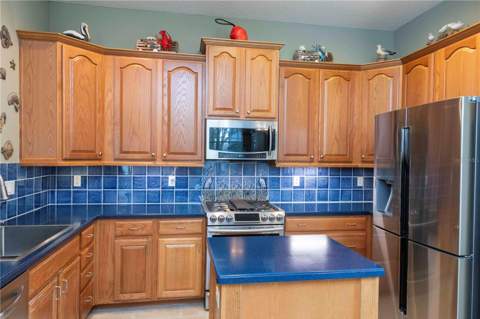 3746 Dogtrot Street, New Port Richey FL - photo 9 of 50