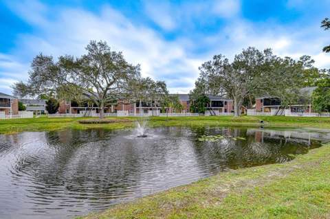 13693 Orange Sunset Drive #203, Tampa FL - photo 23 of 43
