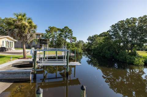 3318 Pineview Drive, Holiday FL - photo 8 of 56
