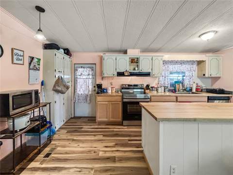 36412 Le Sabre Way, Zephyrhills FL - photo 6 of 42