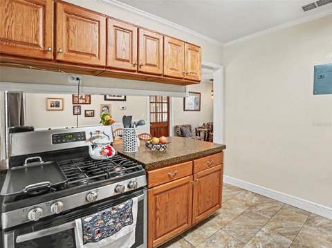 315 W 11th Avenue, Mount Dora FL - photo 10 of 31