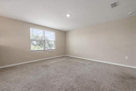 5280 Fiddle Fig Avenue, Wimauma FL - photo 19 of 43