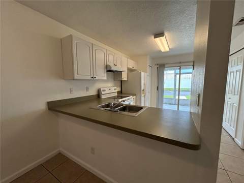 3076 Shingle Creek Court, Kissimmee FL - photo 8 of 24