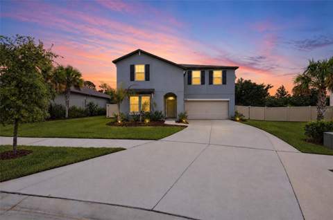 4974 Eagle Rock Drive, Wimauma FL - photo 8 of 53