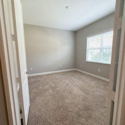 31261 Chesapeake Bay Drive, Wesley Chapel FL - photo 17 of 37