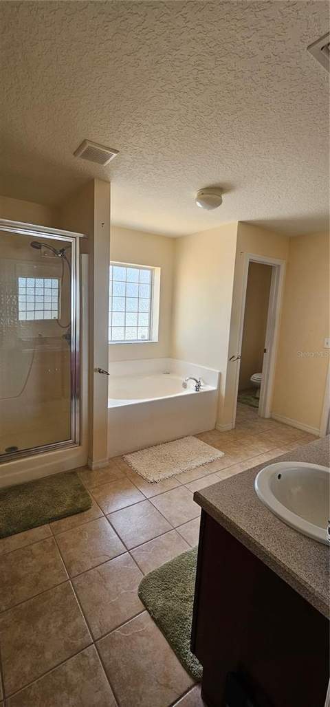 23705 Milford Drive, Eustis FL - photo 9 of 19