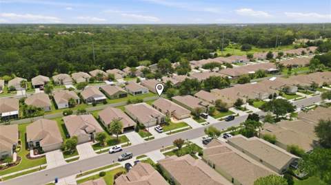 23814 Coral Ridge Lane, Land O Lakes FL - photo 23 of 46