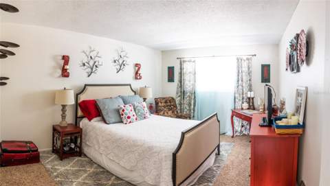 3018 59th Street #309, Gulfport FL - photo 9 of 25
