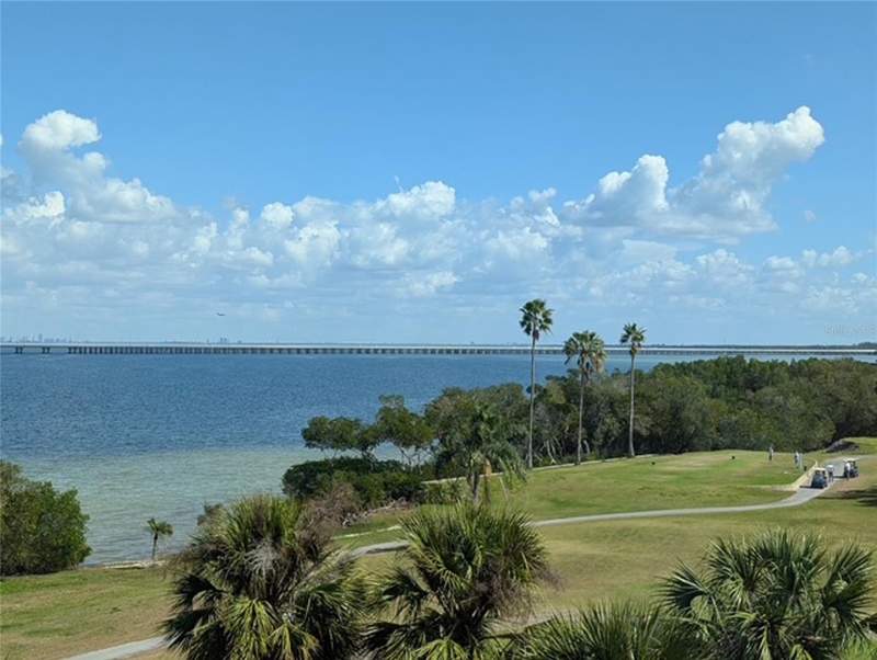 2616 COVE CAY DRIVE #502 home for sale in Cove Cay Village