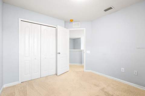 30419 Randall Manor Street, Wesley Chapel FL - photo 19 of 36