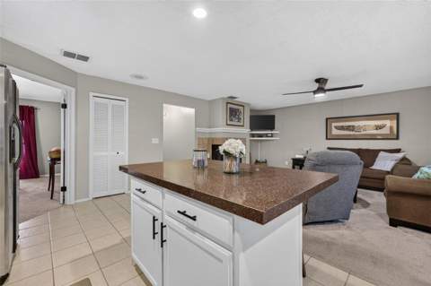 18301 Big Pond Way, Tampa FL - photo 15 of 40