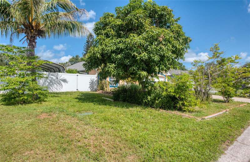 3 bedroom Single Family Residence at 1150 Oakwood Drive, Lofty Pine Estates, Dunedin — photo 5