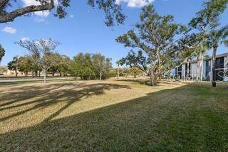 104 E Cypress Court #104, Oldsmar FL - photo 23 of 25