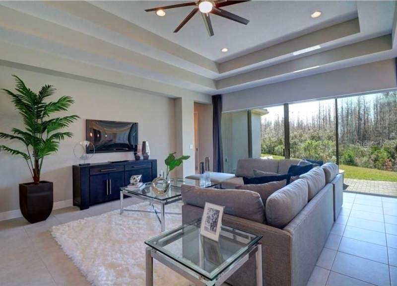 3 bedroom Single Family Residence at 30582 Ivy Forge Court, Wiregrass M23-Ph 1A 1B, Wesley Chapel — photo 5