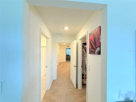 253 Tulip Banded Way, Ruskin FL - photo 19 of 20