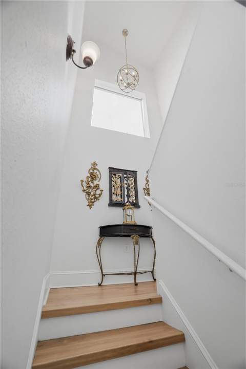 3610 W Euclid Avenue, Tampa FL - photo 14 of 53