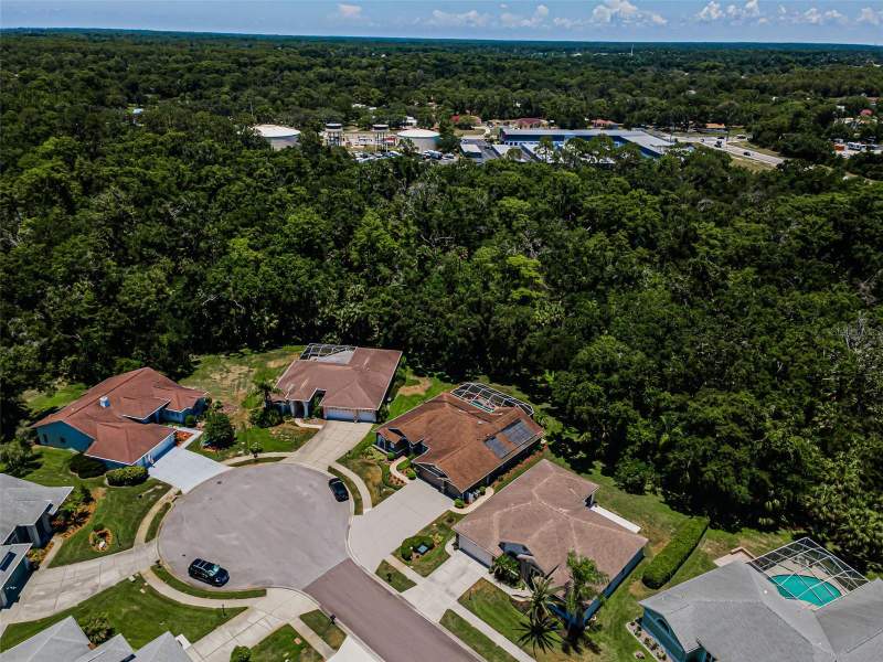 4 bedroom Single Family Residence at 6646 Garden Palm Court, Timber Greens Ph 02B, New Port Richey — photo 3