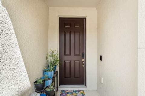 14221 Pondhawk Lane, Tampa FL - photo 9 of 59