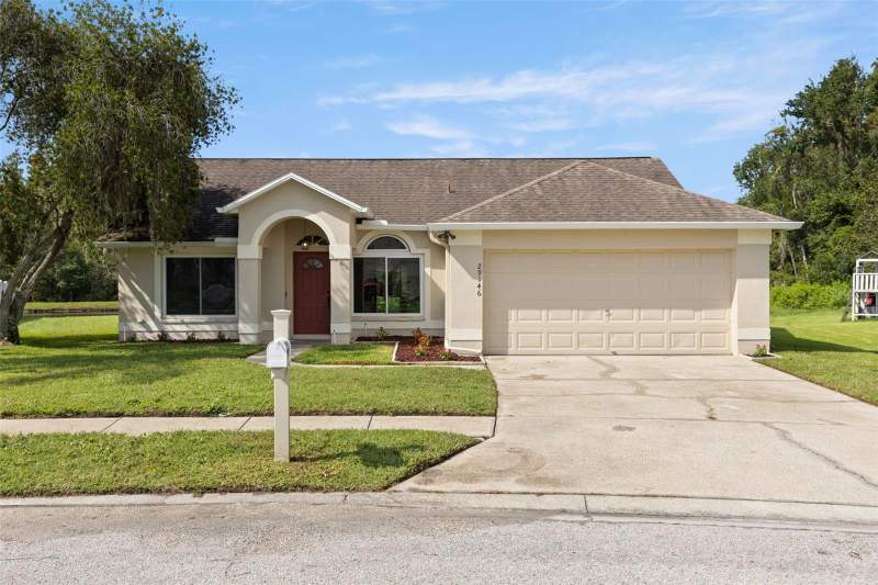 BaldwinsHomes for Sale in Wesley Chapel, FL