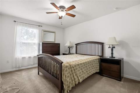 3637 Black Dog Court, Tavares FL - photo 24 of 30
