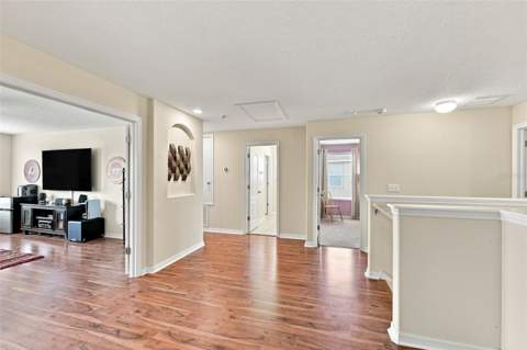 12335 Ballentrae Forest Drive, Riverview FL - photo 9 of 64
