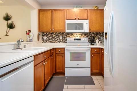 3273 Mangrove Point Drive, Ruskin FL - photo 19 of 71