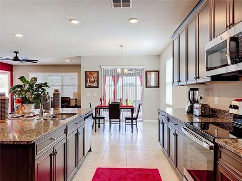 4923 Eagle Rock Drive, Wimauma FL - photo 13 of 44