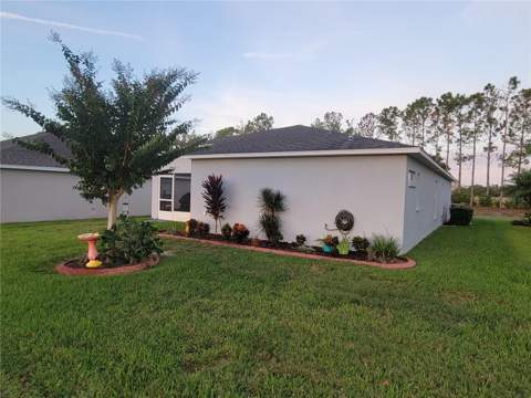 27343 Roanoke Drive, Leesburg FL - photo 18 of 99