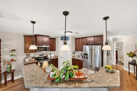 3464 N Vonnegut Point, Beverly Hills FL - photo 22 of 58