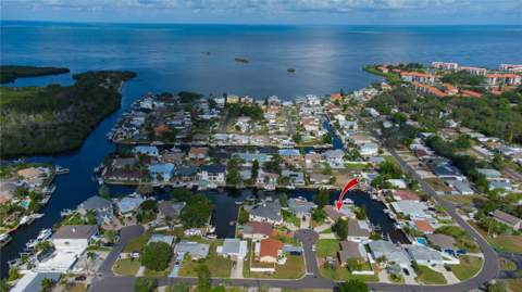 318 Circle Drive, Palm Harbor FL - photo 12 of 38