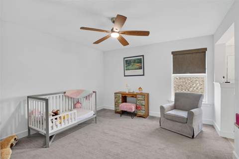 42581 Atlas Drive, Punta Gorda FL - photo 16 of 37