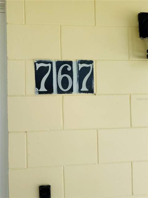 767 Forester Avenue, Orlando FL - photo 7 of 65