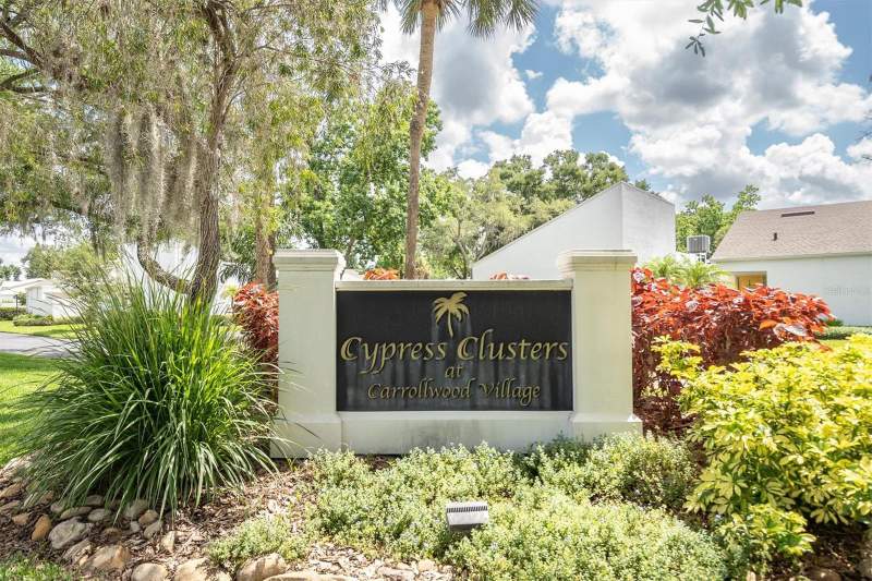 Carrollwood Village Cypress Cl