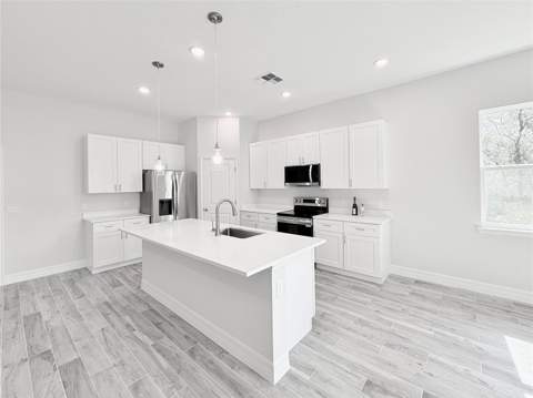 30280 W Bluebell Avenue, Eustis FL - photo 11 of 57